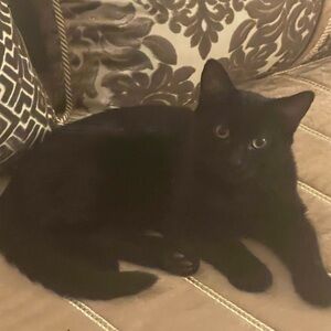 Meet your Posher, Kaoutar